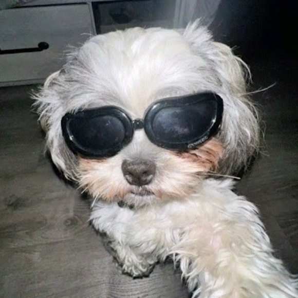 Meet your Posher, Gennesis - Picture 1 of 1